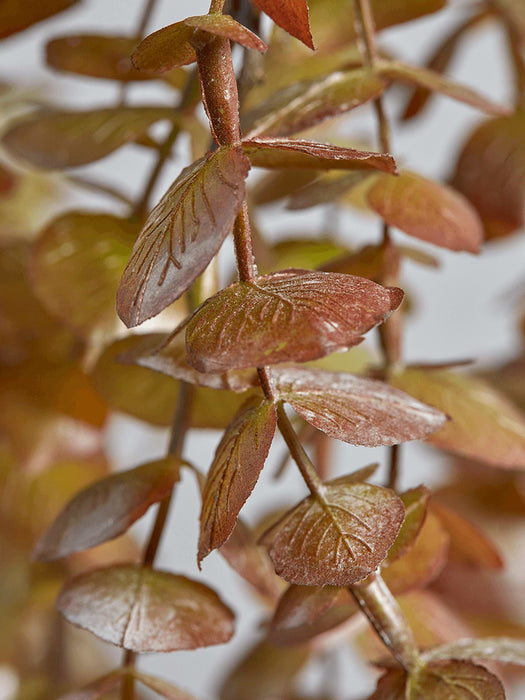 Faux Trailing Eucalyptus Stem