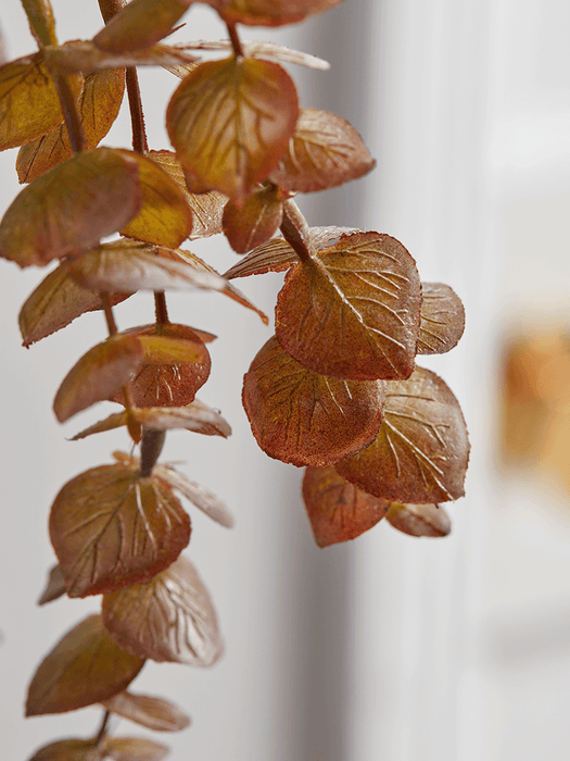 Faux Trailing Eucalyptus Stem