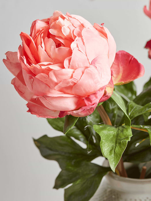 Three Fabulously Full Peony Stems - Vibrant Coral