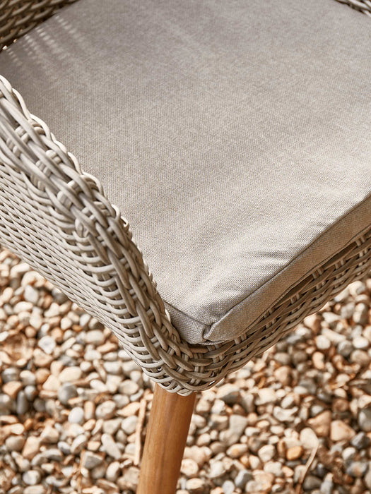 Two Faux Rattan Dining Chairs