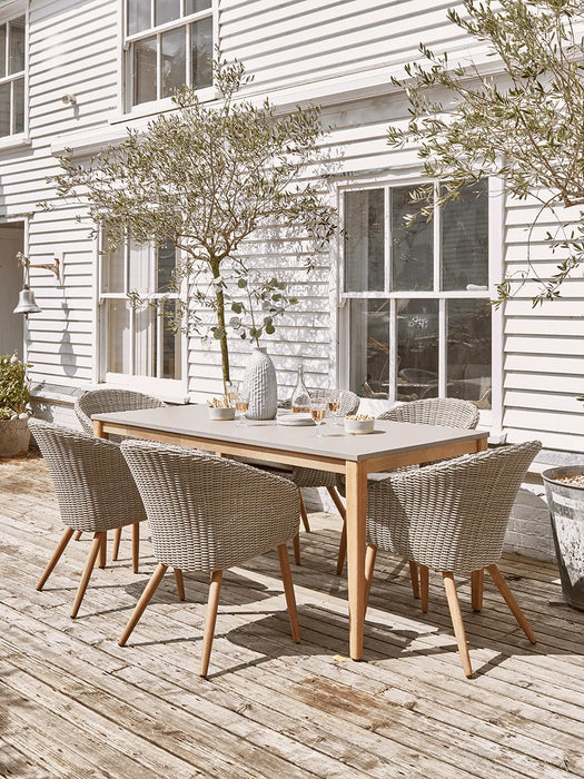 Two Faux Rattan Dining Chairs