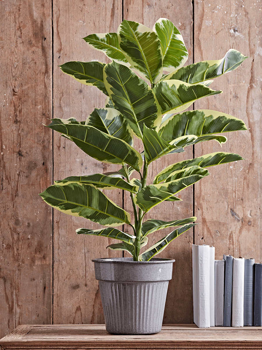 Indoor Outdoor Ribbed Planter