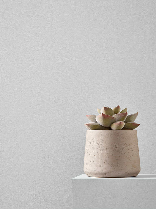 Two Faux Potted Succulents