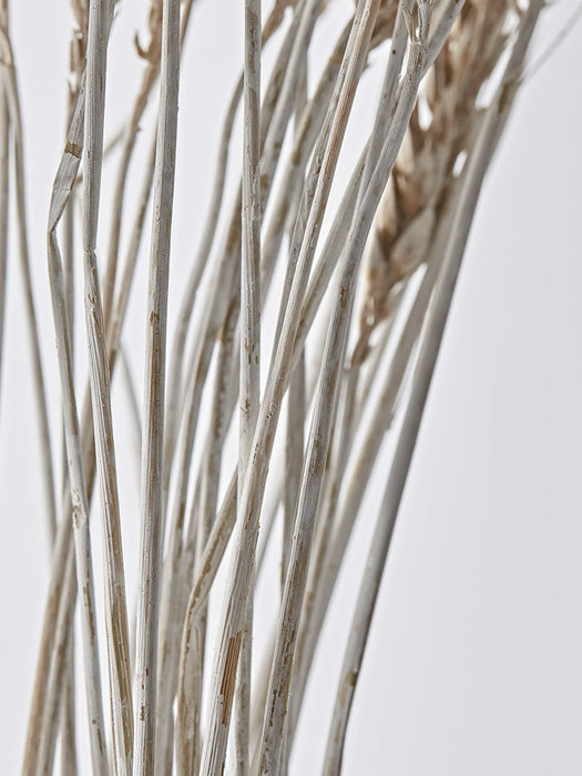 Dried Wild Wheat Bunch
