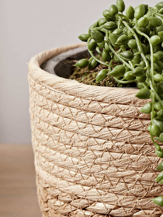 Three Petite Two Tone Planters