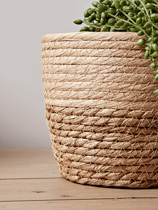 Three Petite Two Tone Planters