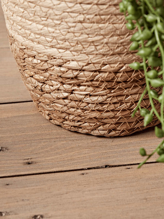 Three Petite Two Tone Planters
