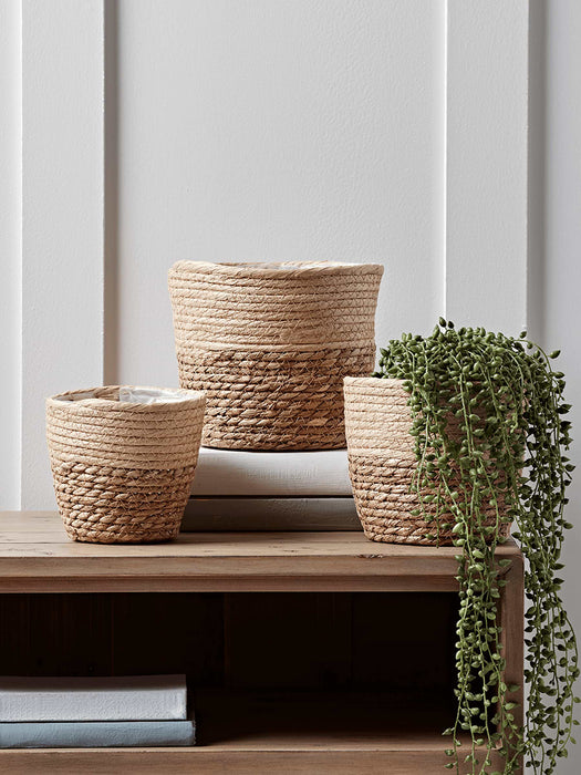 Three Petite Two Tone Planters