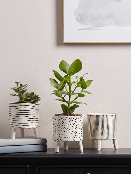 Three Monochrome Standing Planters