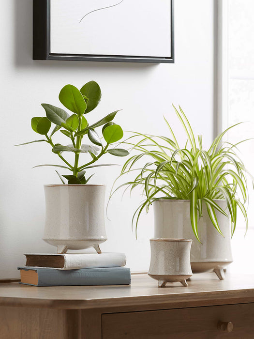 Three Speckled Stoneware Standing Planters