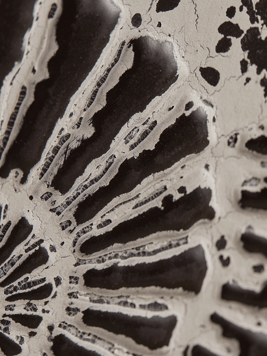 Two Ammonite Embossed Panels
