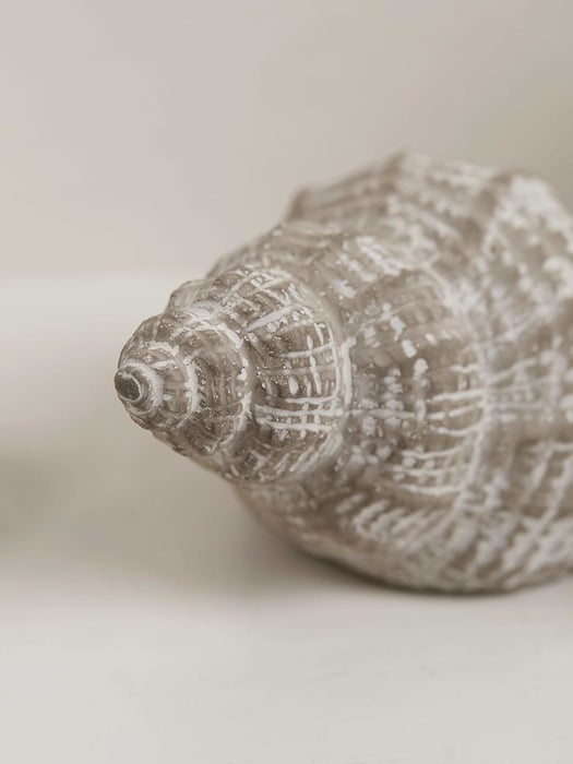 Two Greywashed Shells