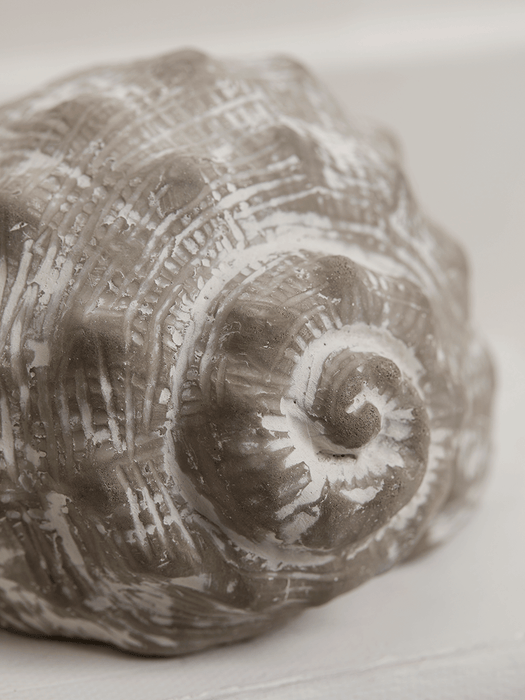 Two Greywashed Shells