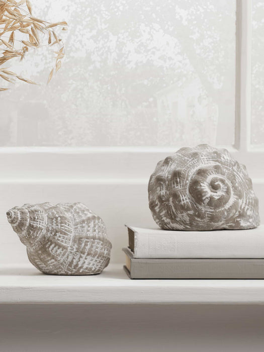Two Greywashed Shells