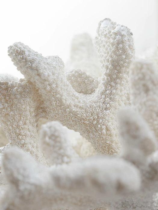 Faux Standing Coral - Large