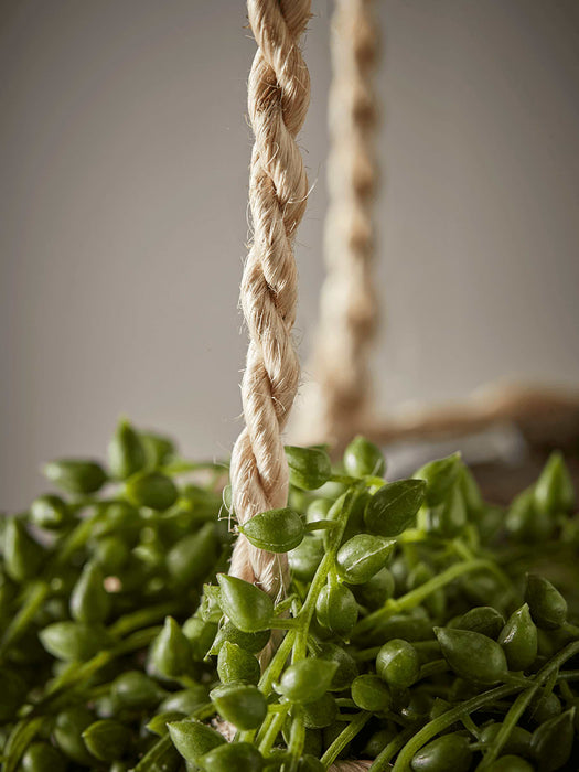 Striped Hanging Jute Planter