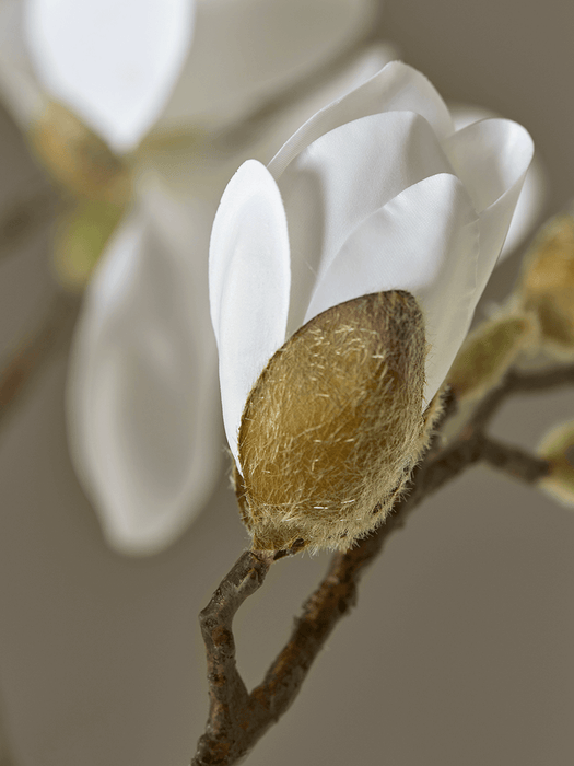 Faux Potted Magnolia Tree