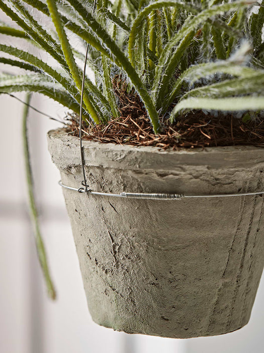 Hanging Faux Potted Trailing Cactus