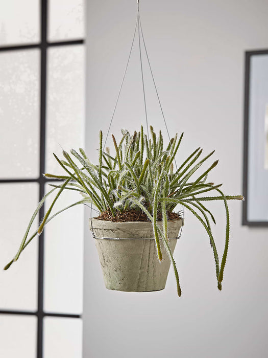 Hanging Faux Potted Trailing Cactus