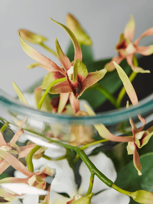 Faux Orchid Display Jar