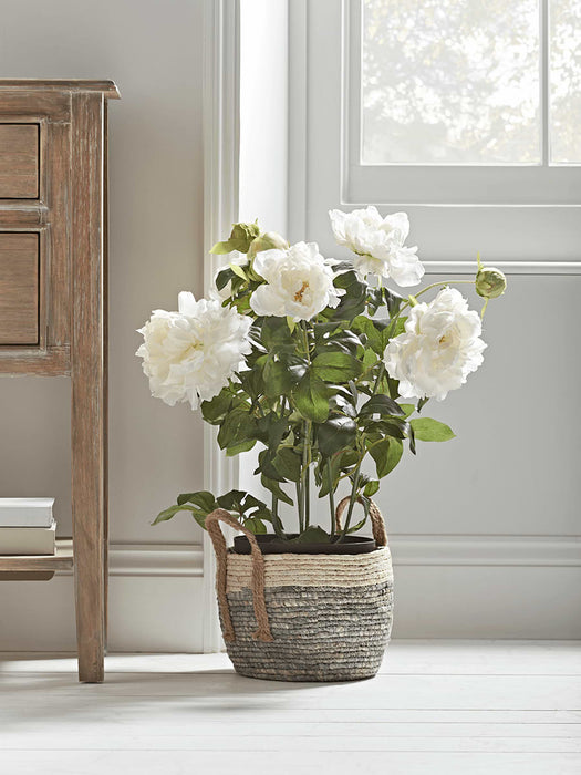 Faux Potted Peony - White