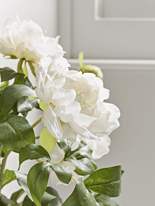 Faux Potted Peony - White