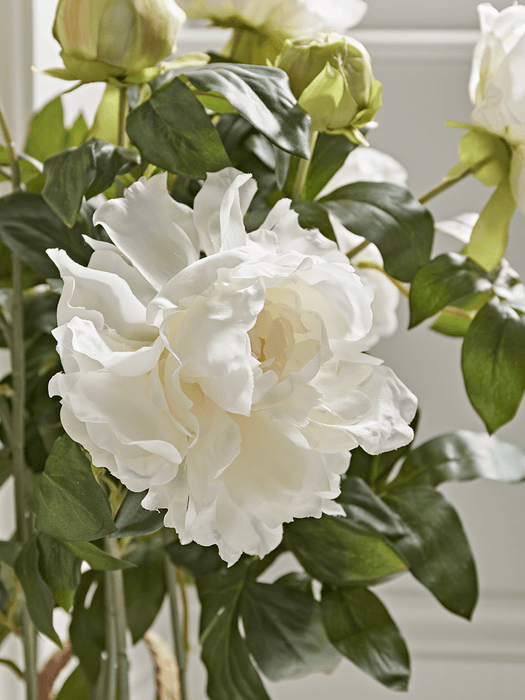 Faux Potted Peony - White