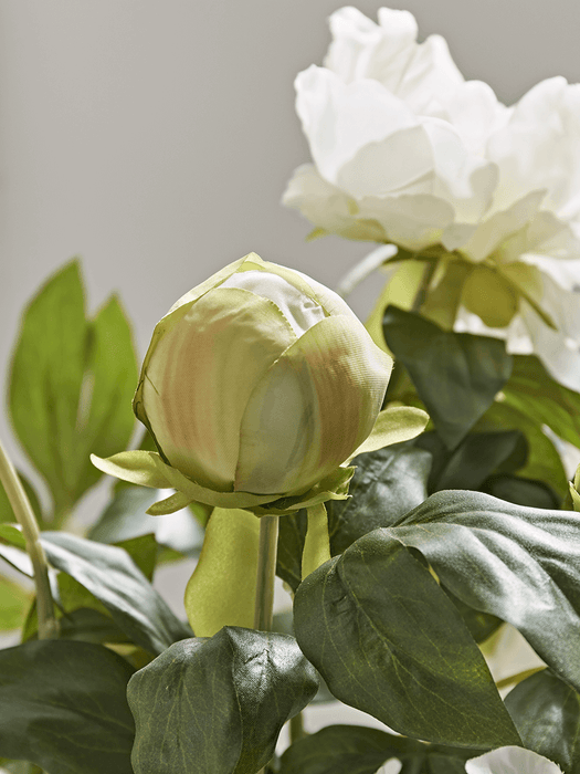 Faux Potted Peony - White