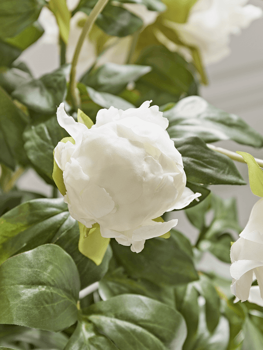 Faux Potted Peony - White