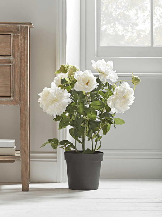 Faux Potted Peony - White