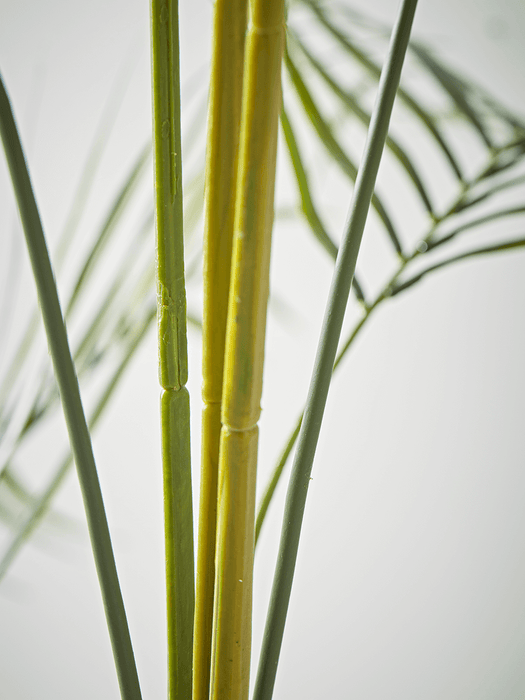 Faux Potted Butterfly Palm