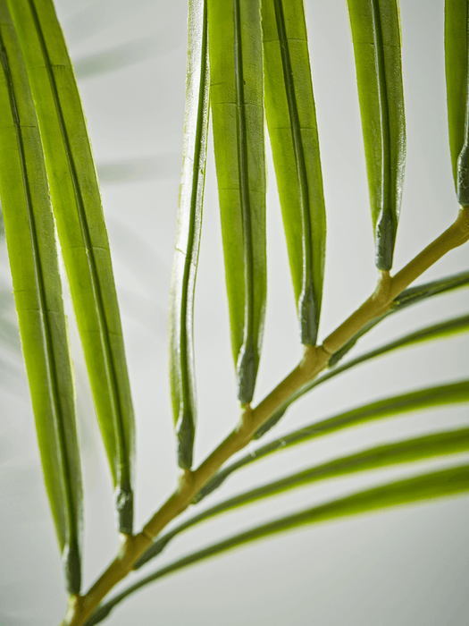Faux Potted Butterfly Palm