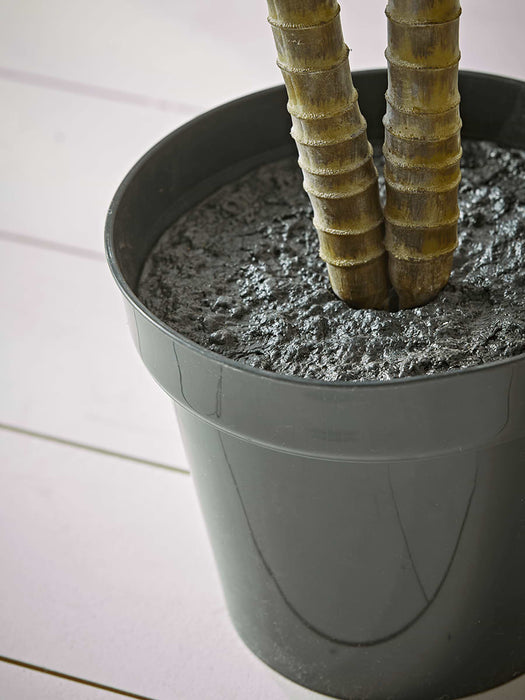 Faux Potted Butterfly Palm