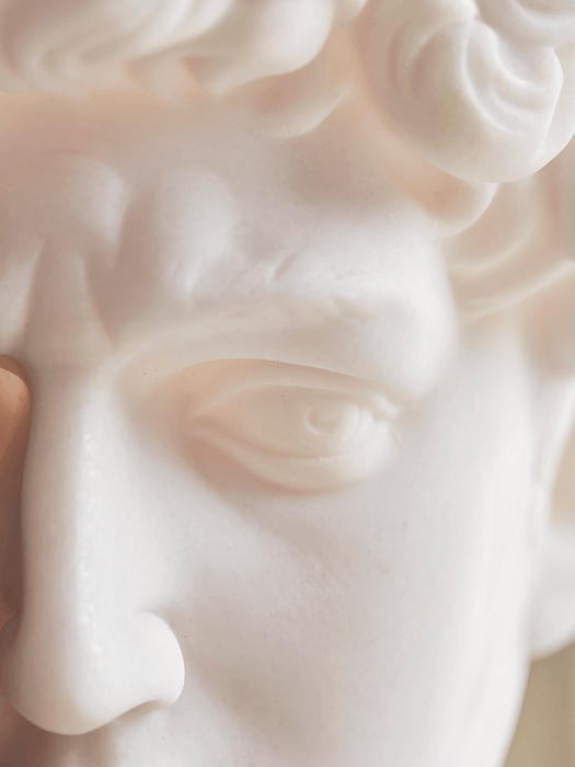Classical Head Bookends