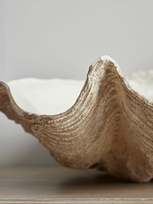 Faux Clam Shell