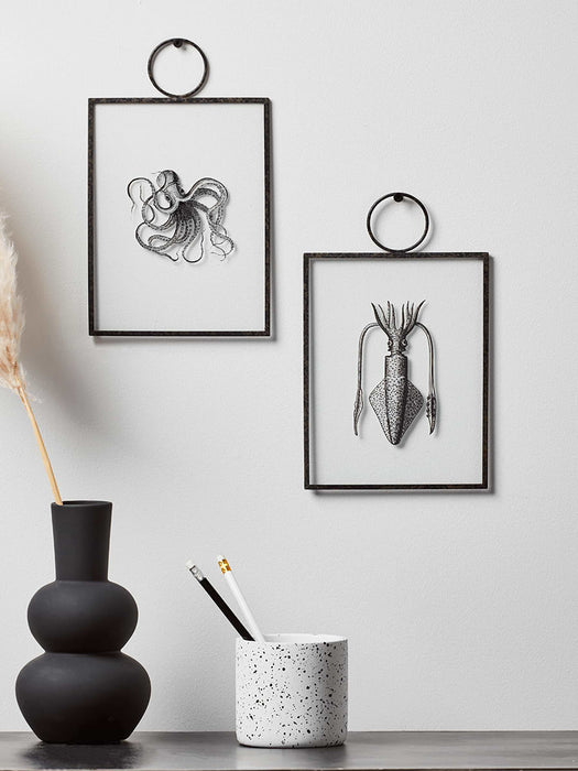 Two Molluscs Framed Prints