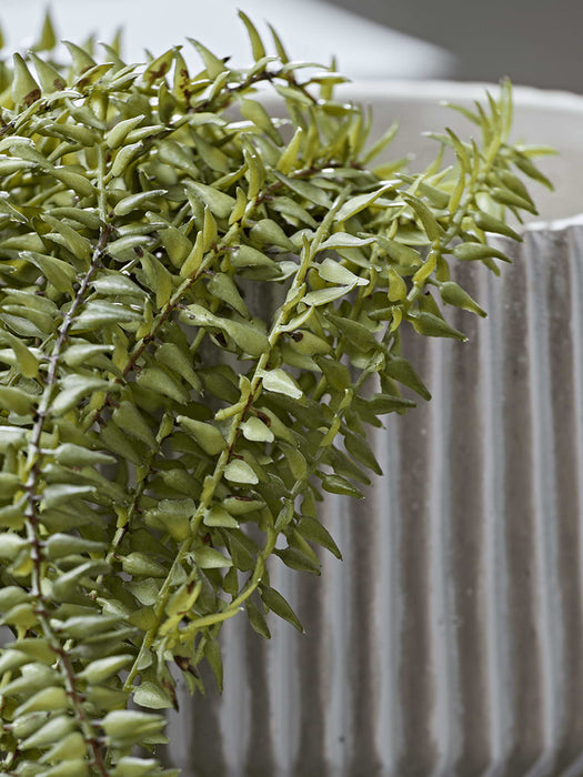 Faux Hanging Horsetail Cactus