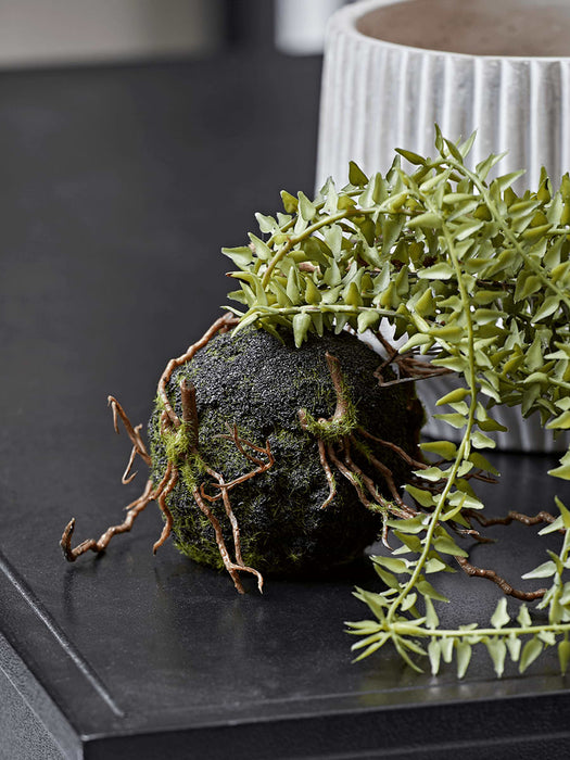 Faux Hanging Horsetail Cactus