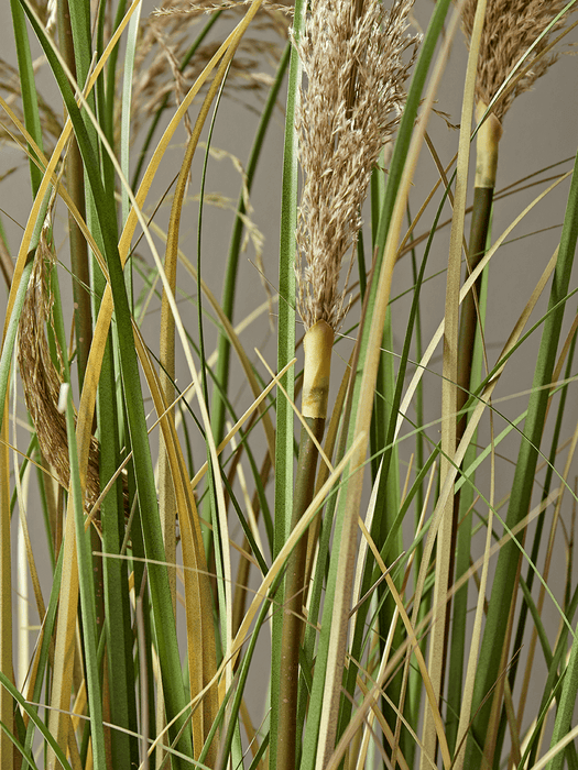 Faux Potted Pampas Grass