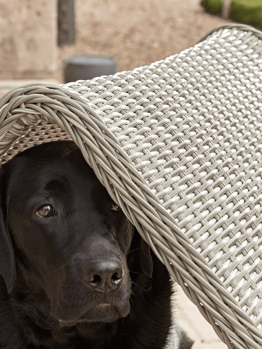 Palermo Outdoor Dog Bed - Large