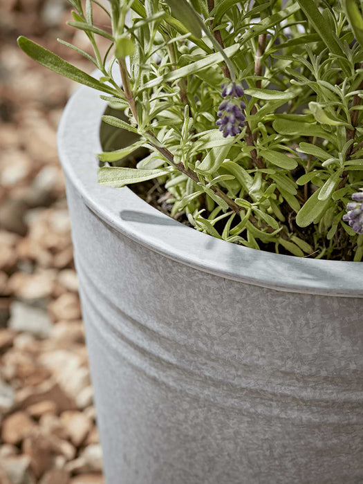 Three Zinc Tapered Planters