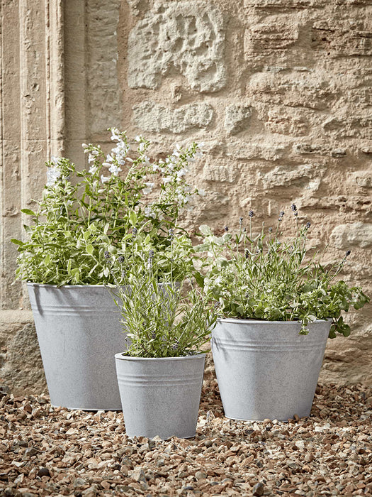Three Zinc Tapered Planters
