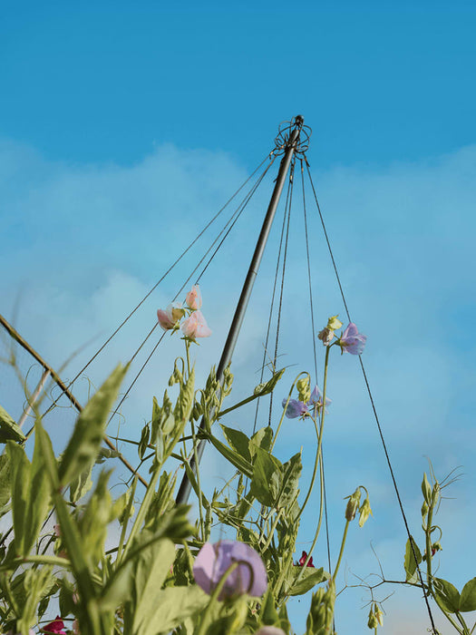 Maypole Plant Support