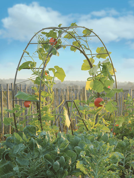 Wheel Plant Support
