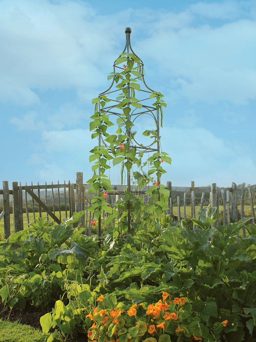 Tower Plant Support