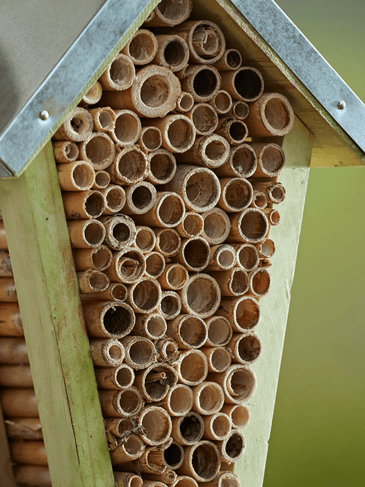 Hanging Bee House
