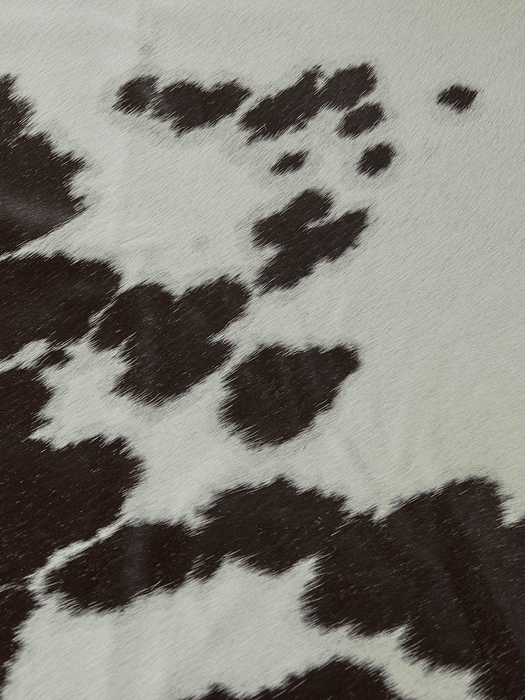 Monochrome Cow Hide