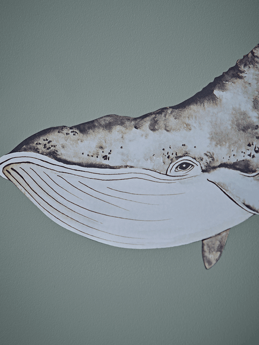 Ocean Wall Stickers