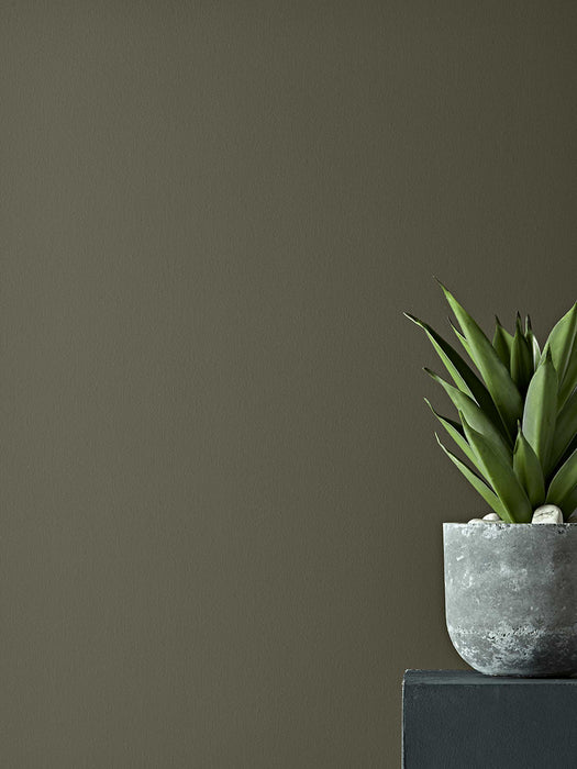 Faux Potted Aloe