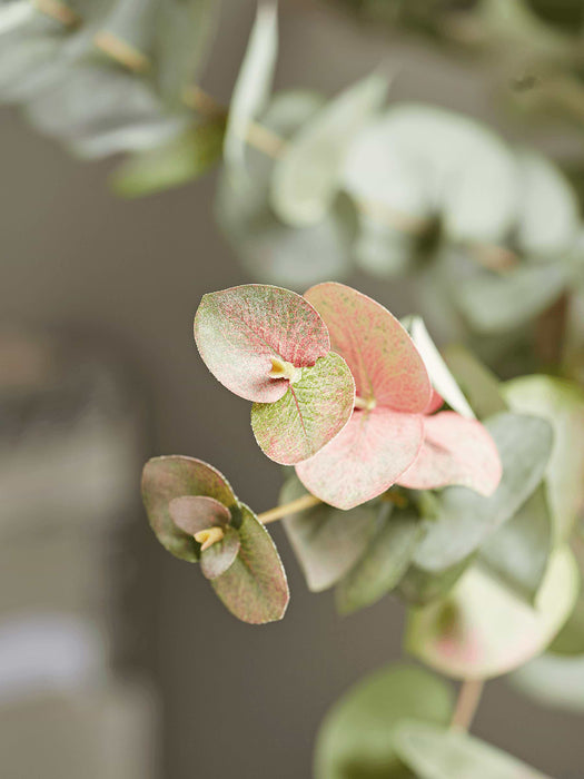 Three Faux Rounded Eucalyptus Sprays